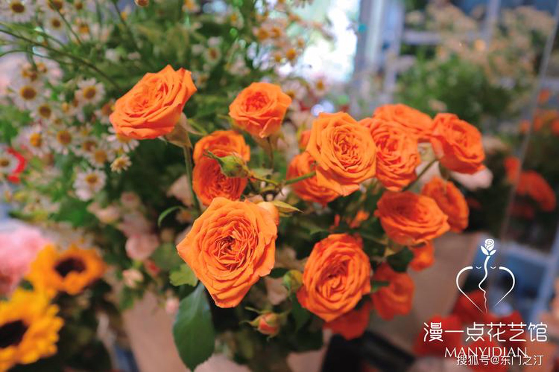 漫香花艺花卉